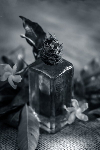 白花油