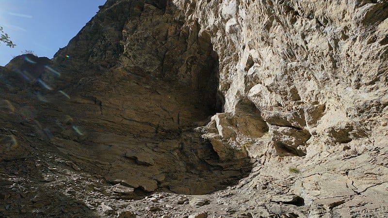 峡谷，河流，树木，山羊