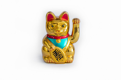 日本幸运猫(猫之母)