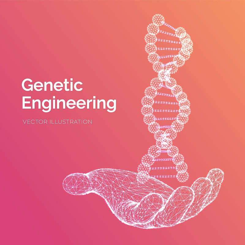 DNA序列在手。线框DNA分子结构网。DNA代码可编辑模板。科学技术概念。矢量插图。