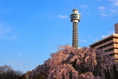 横滨