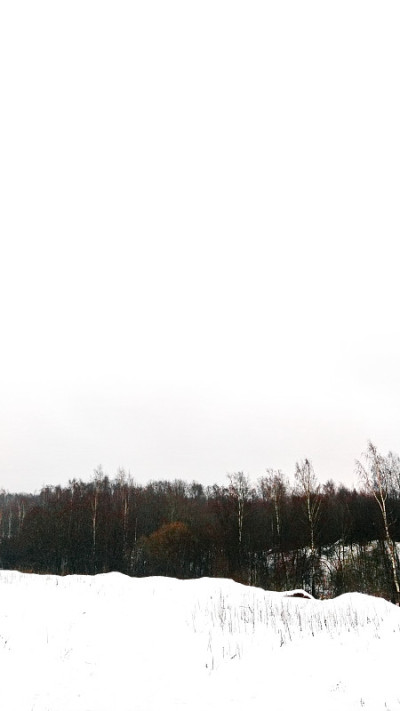 河流，森林，冬天不结冰的雪