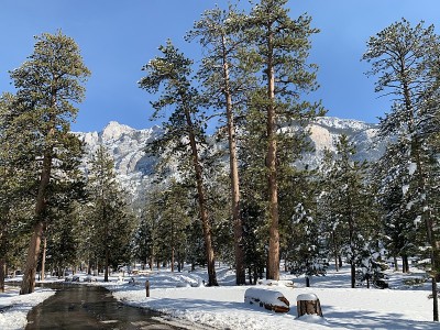 冰雪覆盖的拉斯维加斯山脉查尔斯顿山