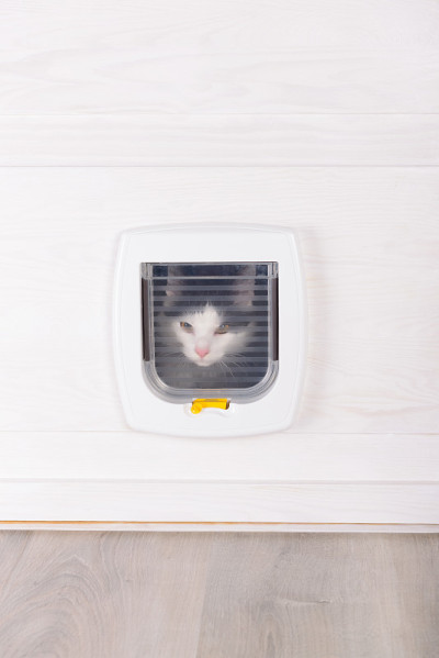 白色塑料猫猫门