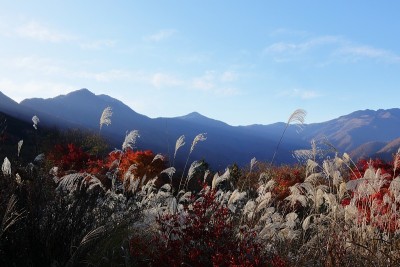 日本秩父的秋天