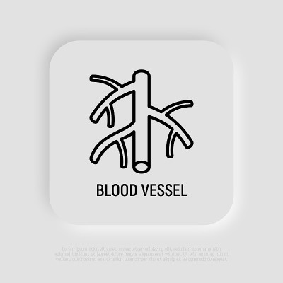血管细线图标。现代向量插图。