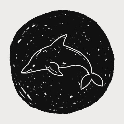 海豚涂鸦