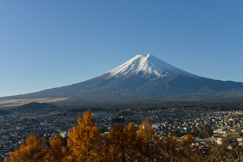 蓝天下美丽的富士山，树叶变了颜色