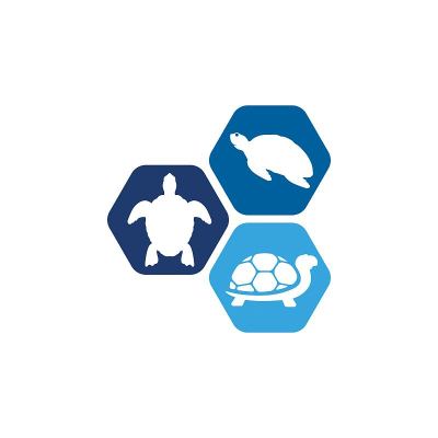 海龟动物卡通图标