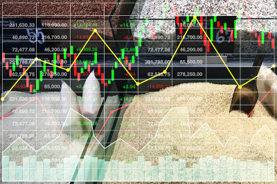 以数据分析为背景，将企业股票融资市场竞争指数大米品种在超市的销售增长情况用图表表示出来。