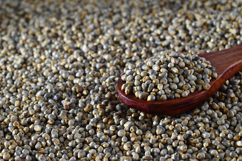 珍珠小米(Bajra)的特写，用木勺。