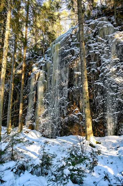 瑞典纳克森林被冰雪覆盖的山坡