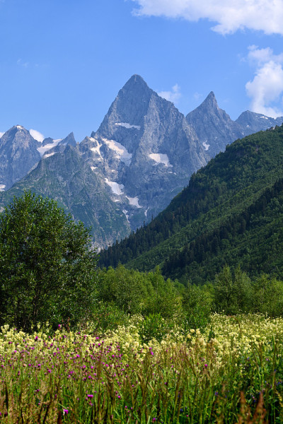 山峰的夏季景观