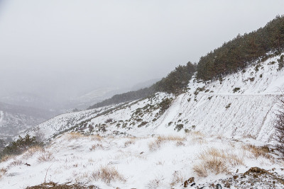 马德里Morcuera港口雪山景观的细节