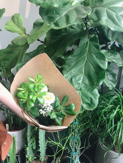 花朵的花束