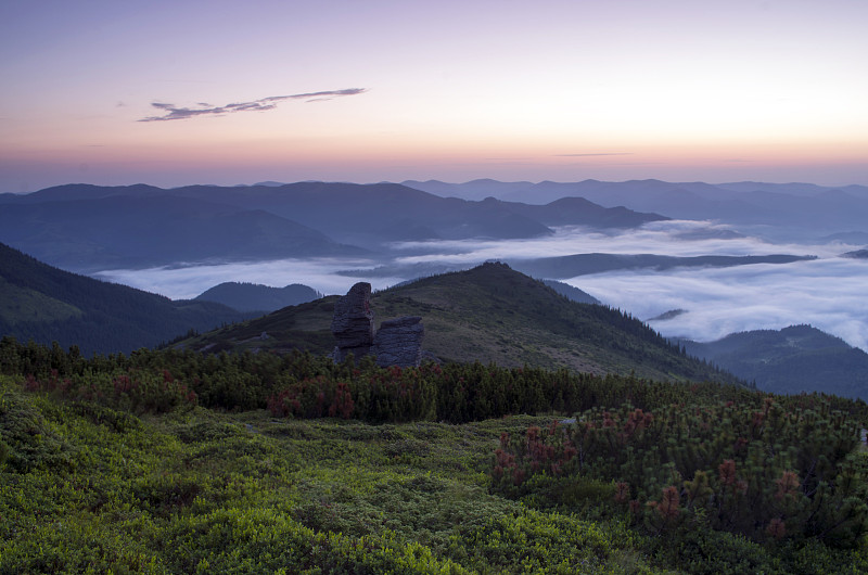 山高原