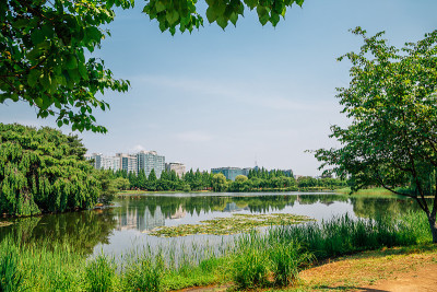 韩国高阳的一山湖公园和现代建筑