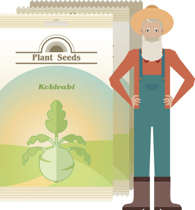 Pack of Kohlrabi seeds icon