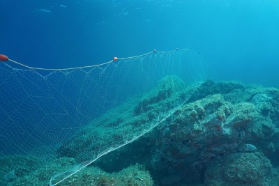 海底刺网海底渔网