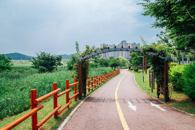 安山里德沼泽公园和公寓大楼安山，韩国