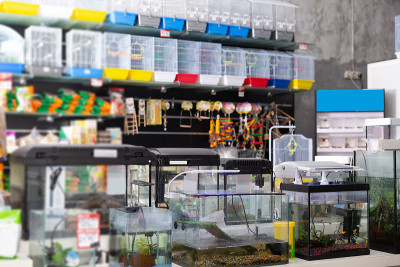 宠物店为动物提供不同种类的商品
