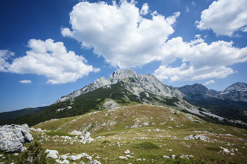 山景观