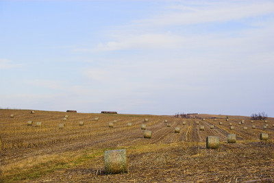 Farmscape