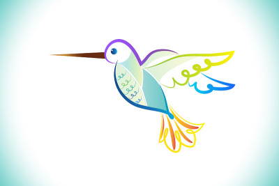 Humming American bird vector image design