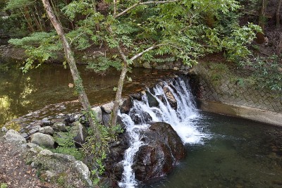 米诺森林公园