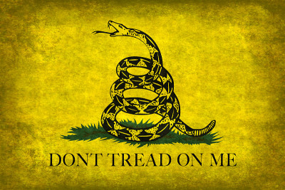 Gadsden Don 't Tread On Me Flag，苦恼版