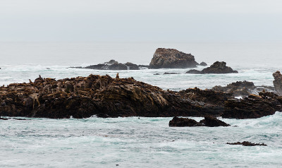 Point Lobos State Reserve