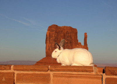 西Mitten Butte，纪念碑谷，亚利桑那州