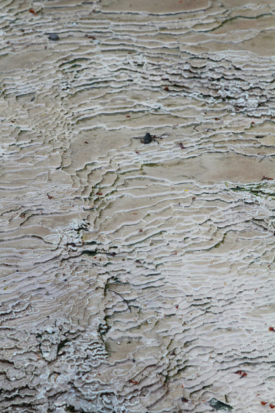 阶地的形成