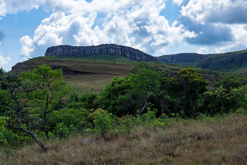 veadeiros的Chapada dos veadeiros