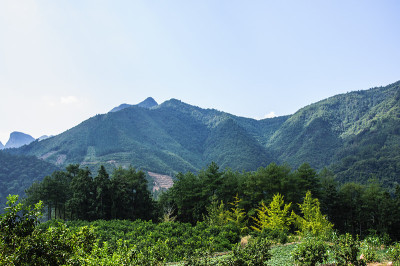 青山绿水蓝天