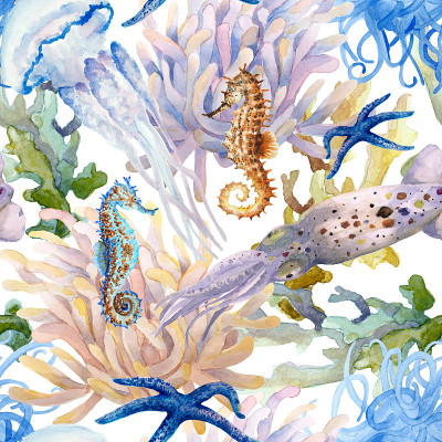 无缝图案有珊瑚、海葵、海星、鱿鱼、长触须水母和海马，水彩画。