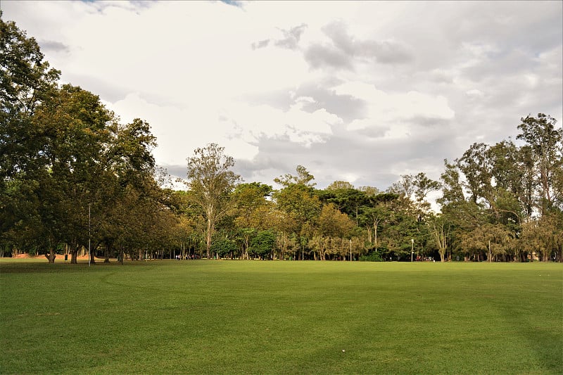 城市公园的草São José dos Campos