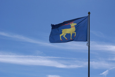 Ölands landskapsflagga /有盾形纹章的旗帜