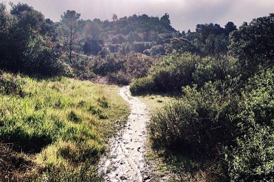 泥泞的山间徒步路线