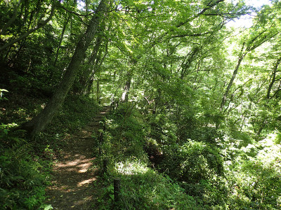 Noyamakita-Rokudoyama公园- Musashimurayama,东京