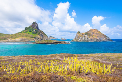 巴西费尔南多迪诺罗尼亚岛东南部海滩(Baia do Sueste)的美丽景色，以练习活动如浮潜闻名。