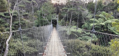 戈尔迪布什步道，Muriwai和亨加地区，奥克兰
