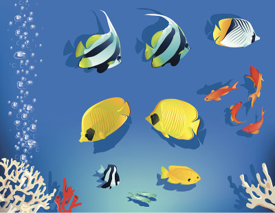 水族馆集