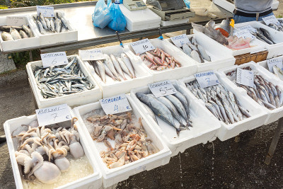 希腊的鱼街市场