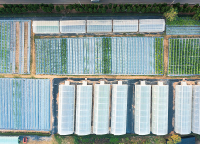 植物科研学习中心鸟瞰图或俯视图，对食品生产、食品安全和防护进行调查、解决和改进。