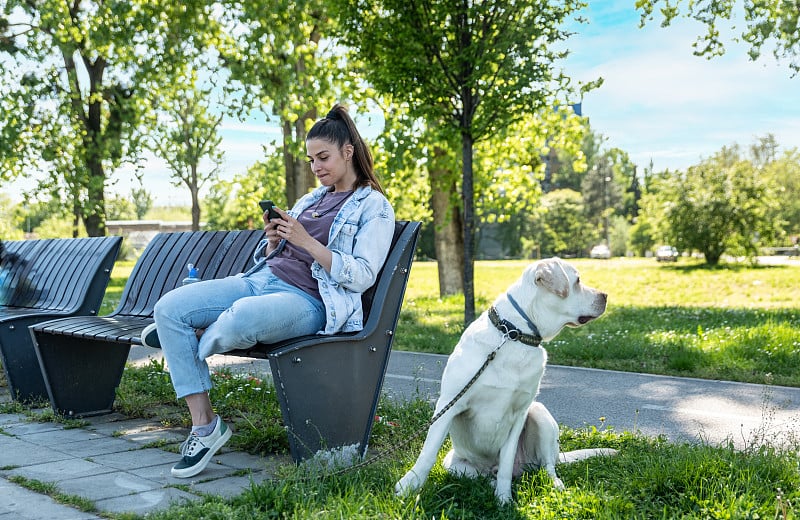 一名年轻女子坐在长椅上，她的宠物狗拉布拉多猎犬正在输入短信，并没有注意到她的狗