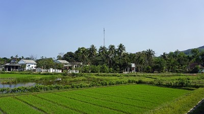 亚洲景观