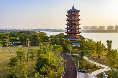 中国广东省东莞市华阳湖湿地公园风光
