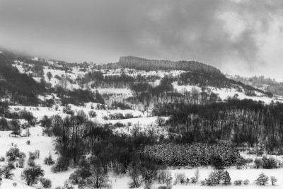 黑色和白色的景色，山覆盖着雪，雾和黑色的树木