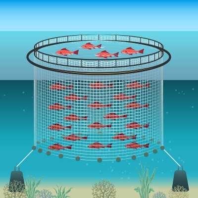 浮动农场插图